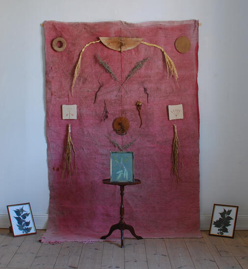 Installation med rosa överkastet