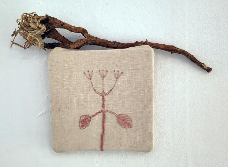 Broderi och maskrosrot